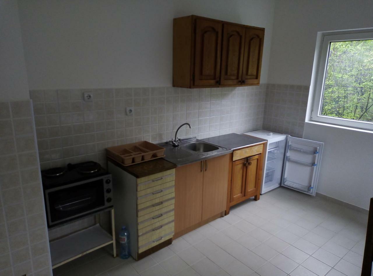Apartman Miljkovic 아란젤로바츠 외부 사진