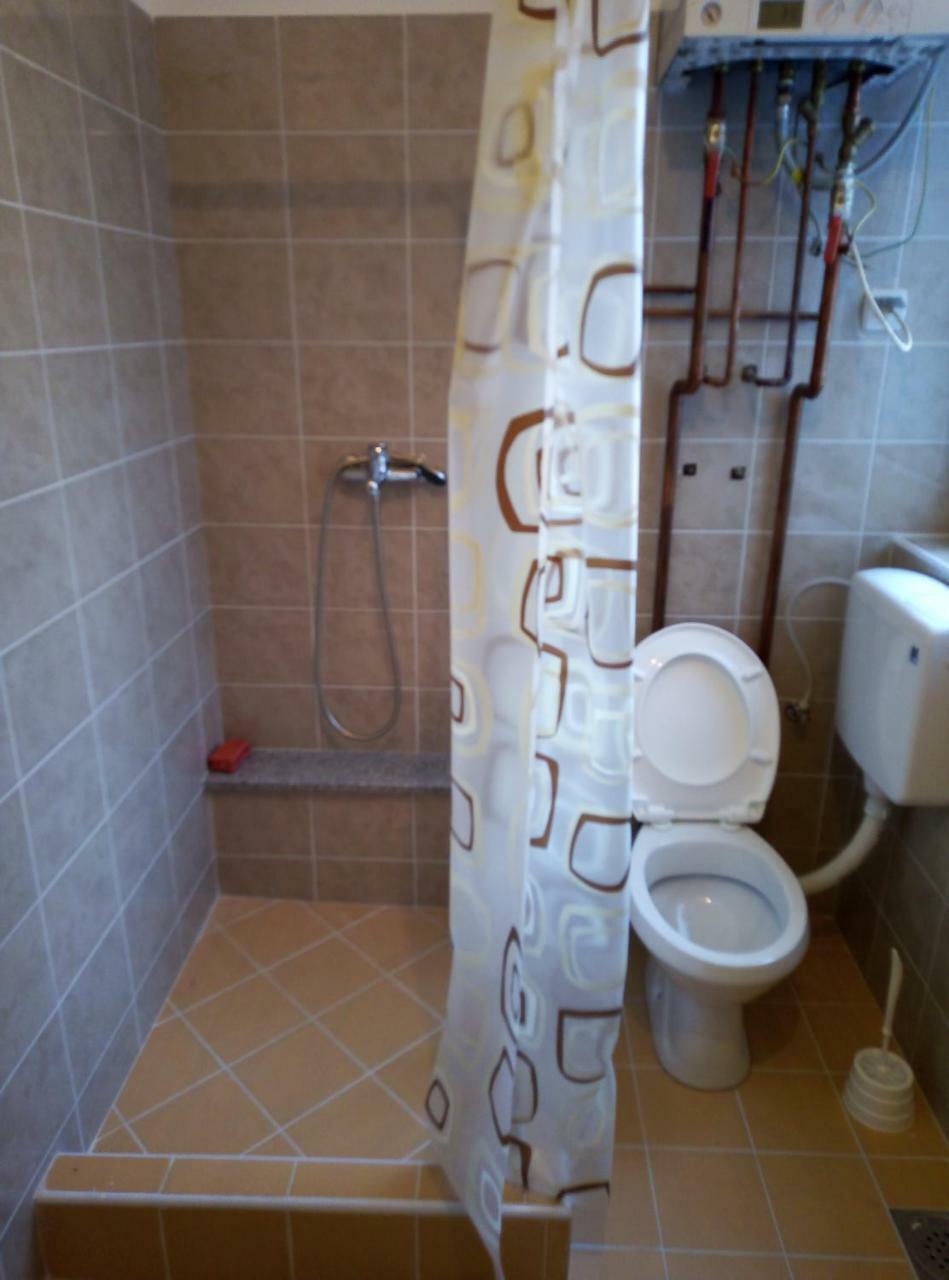 Apartman Miljkovic 아란젤로바츠 외부 사진
